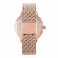 Dámske hodinky MICHAEL KORS MK3845