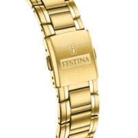 Pánske hodinky FESTINA 20705/4